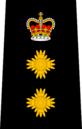 Insígnia de patente de oficial do Serviço de Polícia de Winnipeg