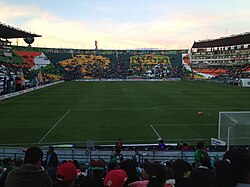 Campo de futebol feminino