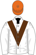 Cores de proprietário em branco e laranja