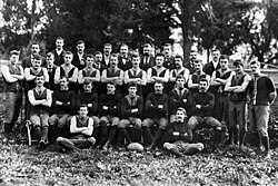 Representação histórica do Fitzroy Football Club