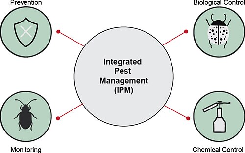 Diagrama dos componentes principais do Manejo Integrado de Pragas