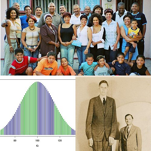Representação visual da diversidade humana