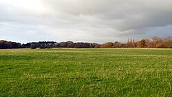 Foto de um campo aberto e plano, cercado por árvores ao longe