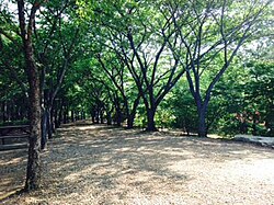 Arquitetura da Universidade Wonkwang