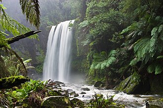 Representação visual de ecossistemas e biodiversidade