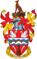 Escudo do Staines Town F.C.
