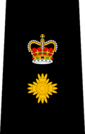 Insígnia de patente de oficial do Serviço de Polícia de Winnipeg