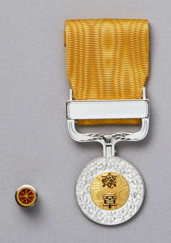 Medalha de Honra com fita amarela
