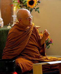 Retrato de Ṭhānissaro Bhikkhu