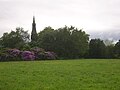 Vista de jardim