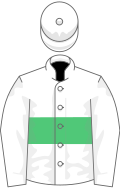 Cores de proprietário em branco e verde
